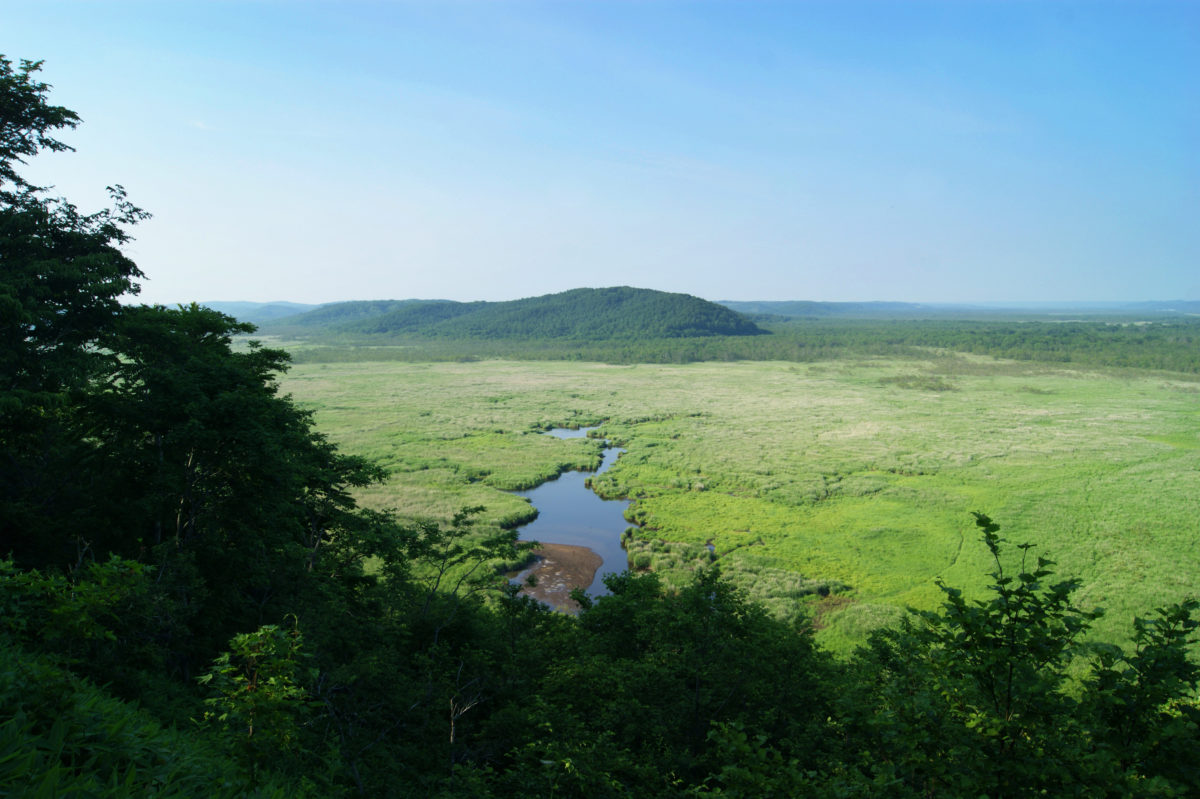 日本最大の湿原「釧路」のコッタロ湿原展望台から見た景色