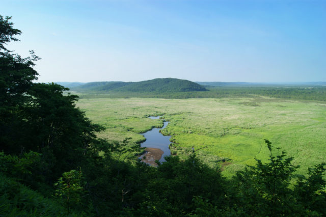 「日本最大の湿原「釧路」のコッタロ湿原展望台から見た景色」のフリー写真素材を無料ダウンロード