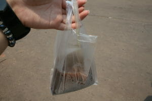 Free stock photos of [Iced coffee in a plastic bag I bought at a stall]