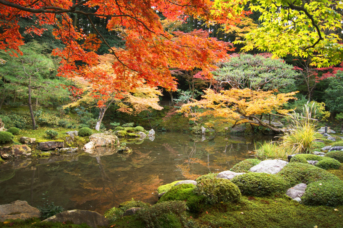 Beautiful autumn leaves and Japanese garden in Nanzenji, Kyoto