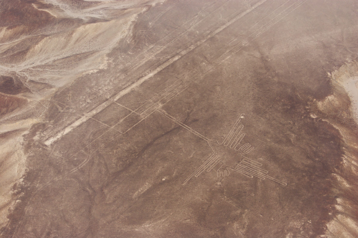 Hummingbird on the Nazca Lines