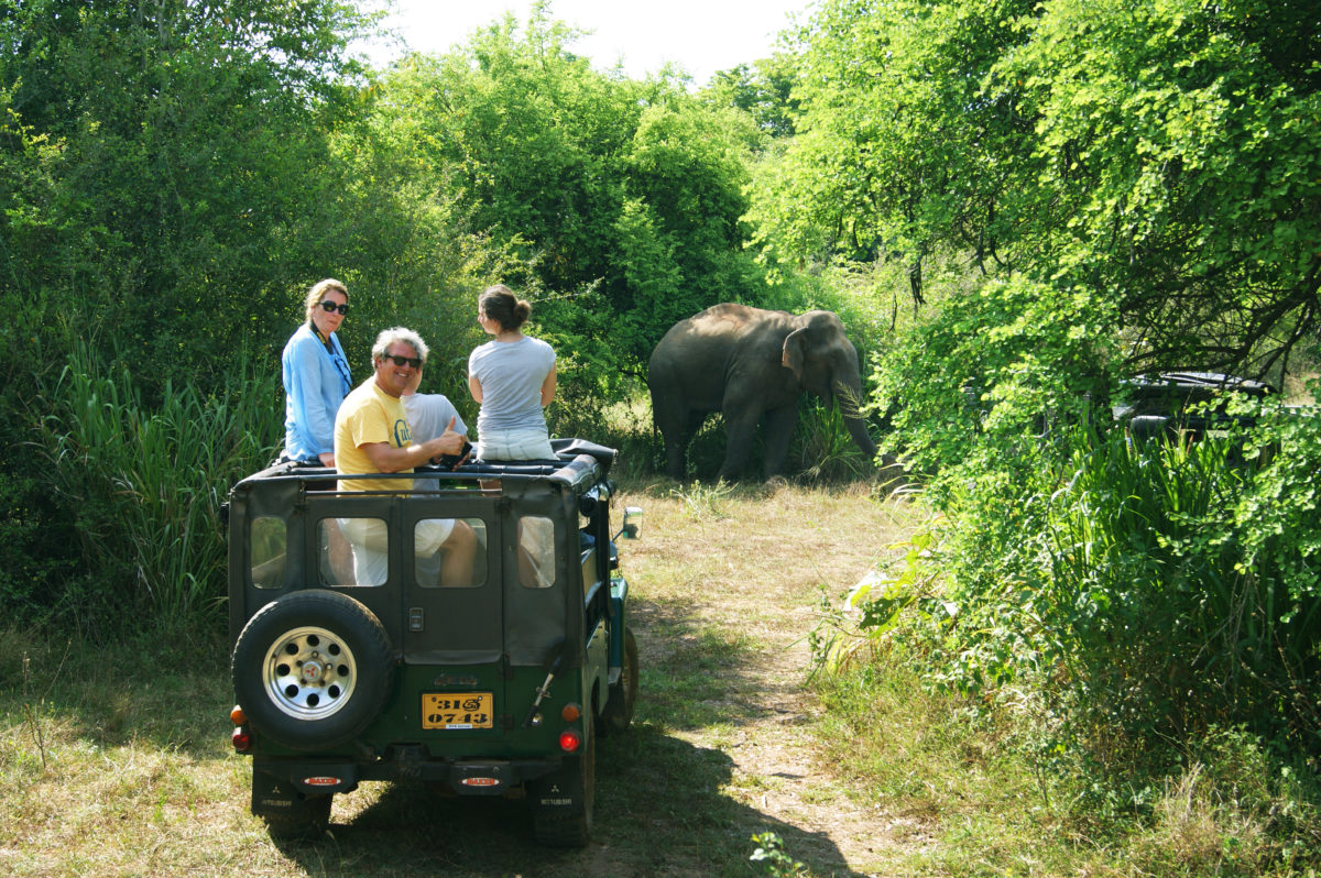 Dambulla Jeep Safari Tour