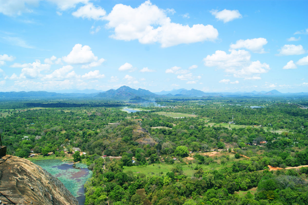 Nature seen from above Sigiriya Rock